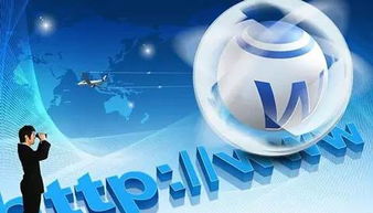 互聯(lián)網(wǎng)營銷的發(fā)展及應用與軟硬件的開發(fā)銷售